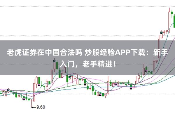 老虎证券在中国合法吗 炒股经验APP下载：新手入门，老手精进！