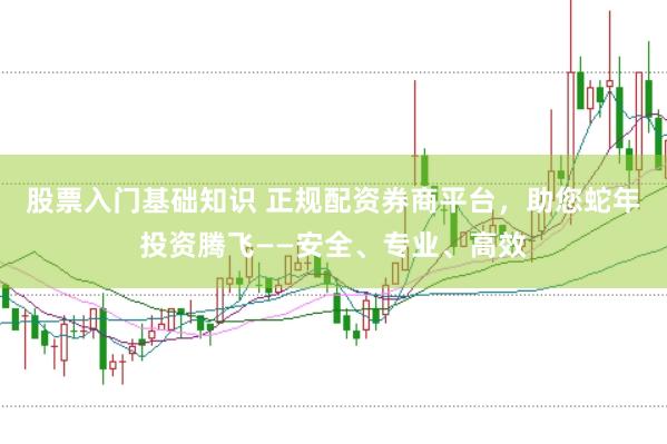 股票入门基础知识 正规配资券商平台，助您蛇年投资腾飞——安全、专业、高效