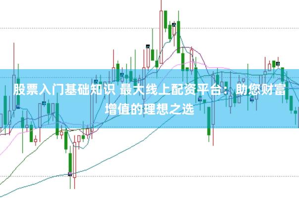 股票入门基础知识 最大线上配资平台：助您财富增值的理想之选