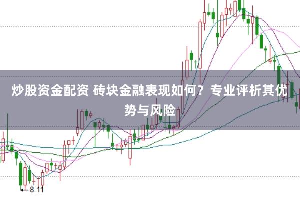 炒股资金配资 砖块金融表现如何?专业评析其优势与风险