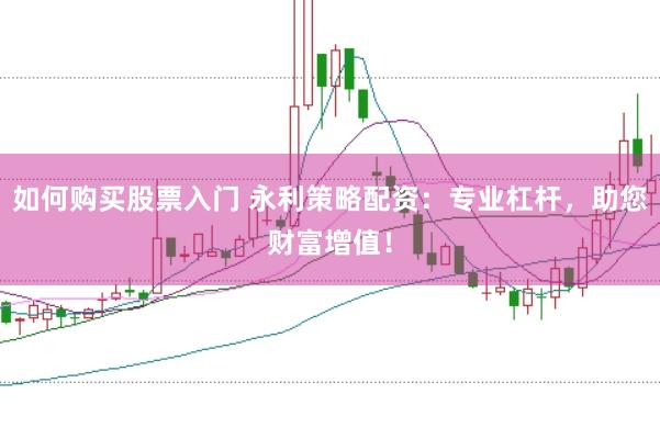 如何购买股票入门 永利策略配资:专业杠杆,助您财富增值!