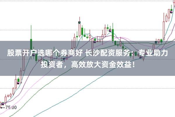 股票开户选哪个券商好 长沙配资服务:专业助力投资者,高效放大资金效益!