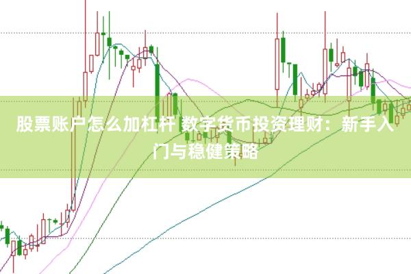股票账户怎么加杠杆 数字货币投资理财：新手入门与稳健策略