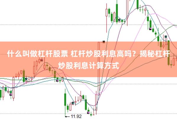 什么叫做杠杆股票 杠杆炒股利息高吗?揭秘杠杆炒股利息计算方式