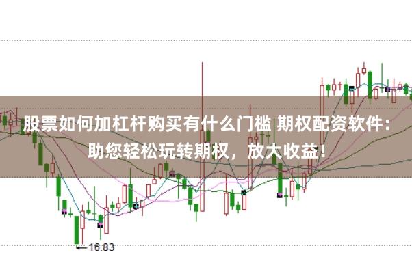 股票如何加杠杆购买有什么门槛 期权配资软件：助您轻松玩转期权，放大收益！