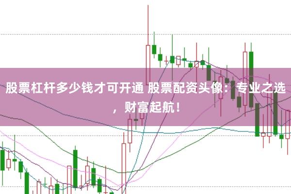 股票杠杆多少钱才可开通 股票配资头像：专业之选，财富起航！