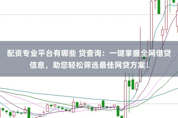 配资专业平台有哪些 贷查询：一键掌握全网借贷信息，助您轻松筛选最佳网贷方案！