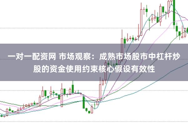 一对一配资网 市场观察：成熟市场股市中杠杆炒股的资金使用约束核心假设有效性