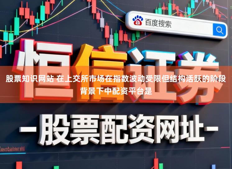 股票知识网站 在上交所市场在指数波动受限但结构活跃的阶段背景下中配资平台是