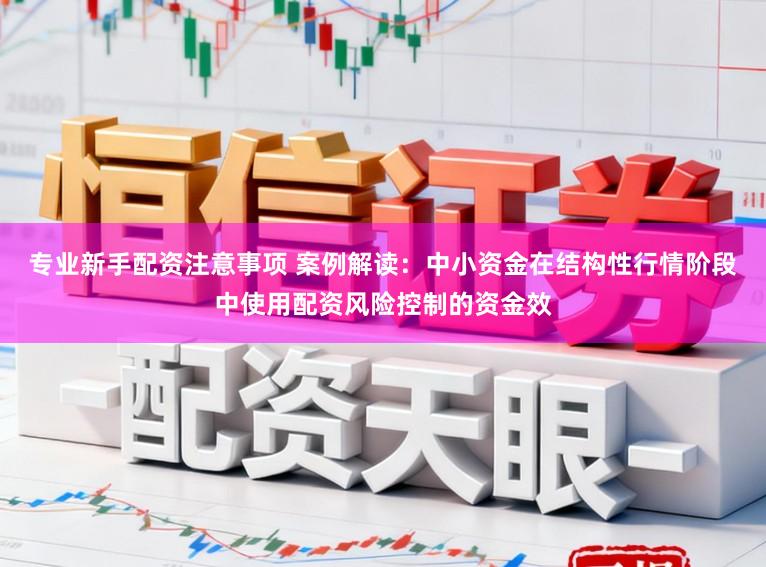 专业新手配资注意事项 案例解读:中小资金在结构性行情阶段中使用配资风险控制的资金效